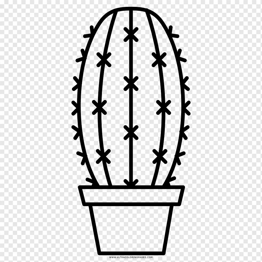 Кактус раскраска для детей распечатать 11 Places to Find Free Cinco de Mayo Coloring Pages Coloring pages, Food colorin