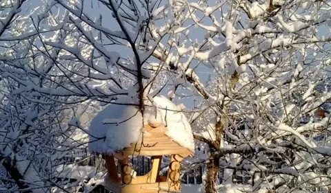Приметы на 4 февраля