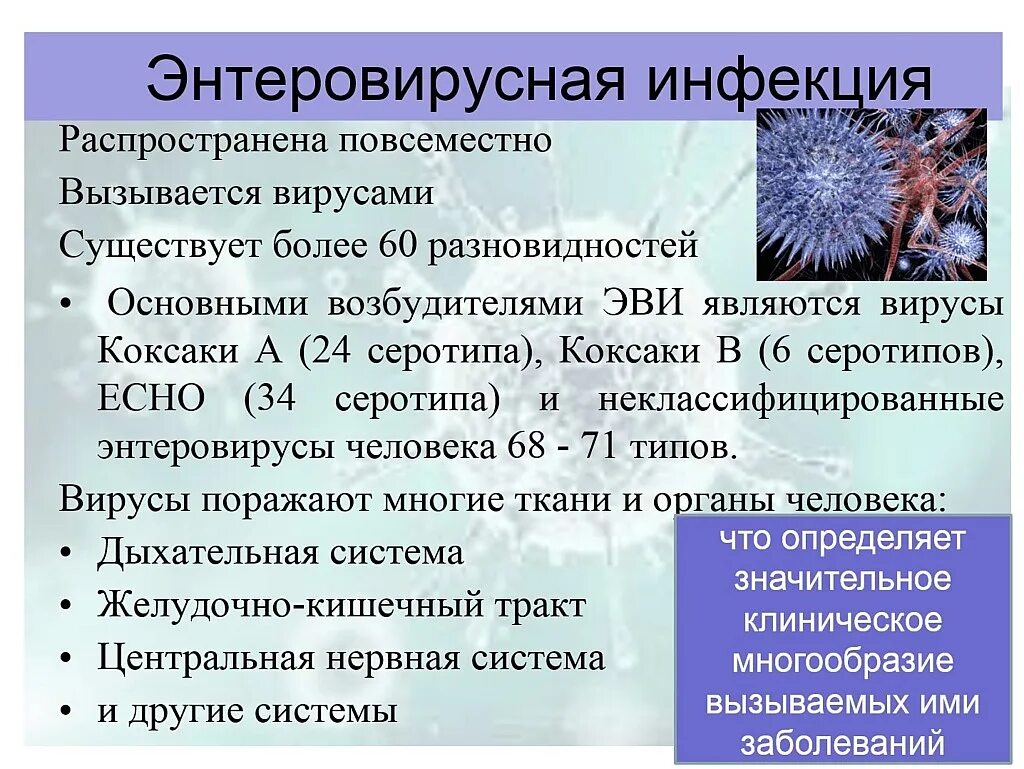 Энтеровирус c. Энтеровирусная инфекция. интовипусная инфекции. энтеровирусная инфекция презентация. заболевания вызываемые энтеровирусами.