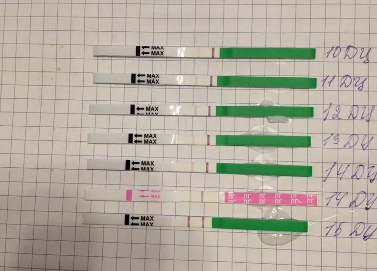 Как понять овуляцию. Признаки овуляции тест. Выделения в определенные дни цикла. Как определить овуляцию по выделениям по дням картинки. Выделения в каждый день цикла.