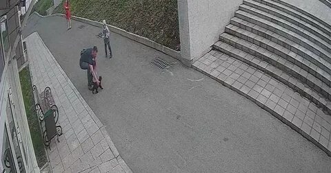 Вася парок