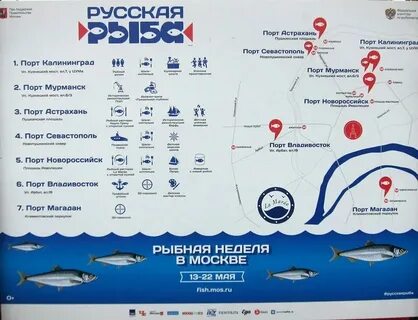 Что такое фиш лист