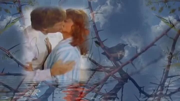 Соловей в терновнике. Две птицы в терновнике. Песня в терновнике колючем. Поющие в терновнике птица. Птица с шипом терновника.