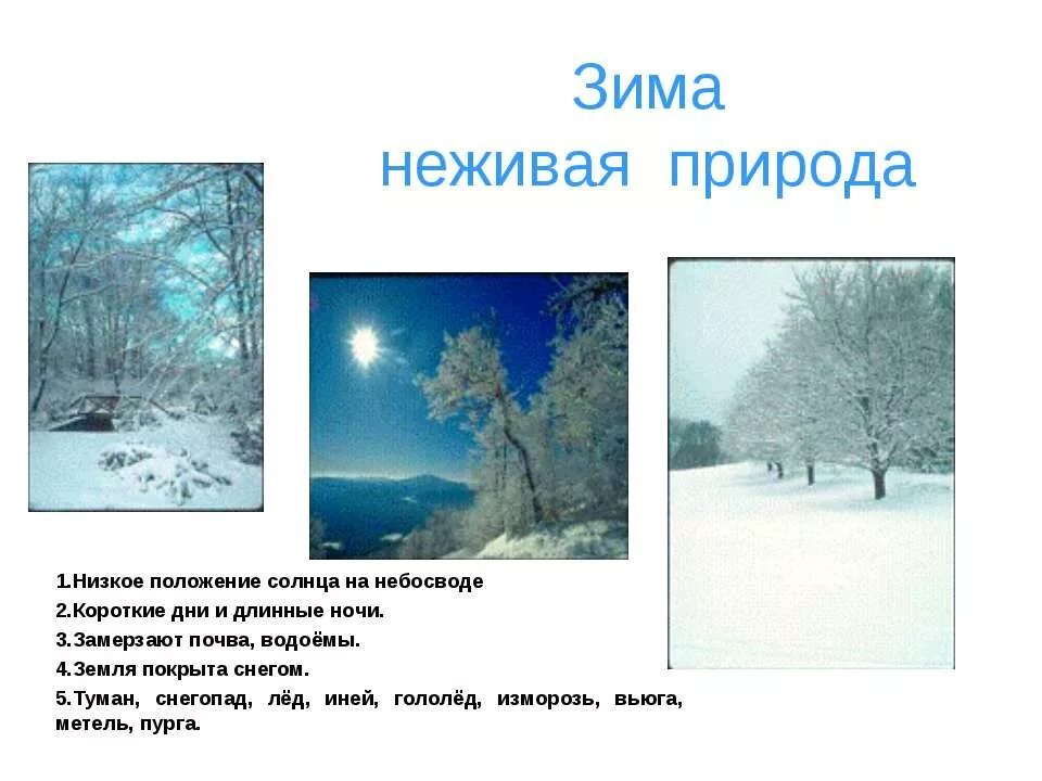 Изменения в неживой природе зимой биология. Зима в неживой природе. Зимние изменения в природе. Живая и неживая природа зимой. Изменения в неживой природе зимой.