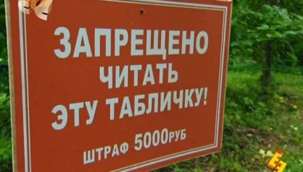 Алайна салах. Она под запретом читать. Они под запретом книга алайна салах. Наклейки в подъезде о запрете курения. Читать запрещено.