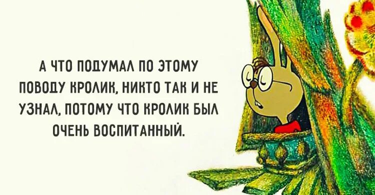 Как понять не очень хорошо. Кролик был очень воспитанным. Цитаты из мультфильмов. А что подумал кролик никто не узнал. Кролик был очень воспитанный и ничего не.