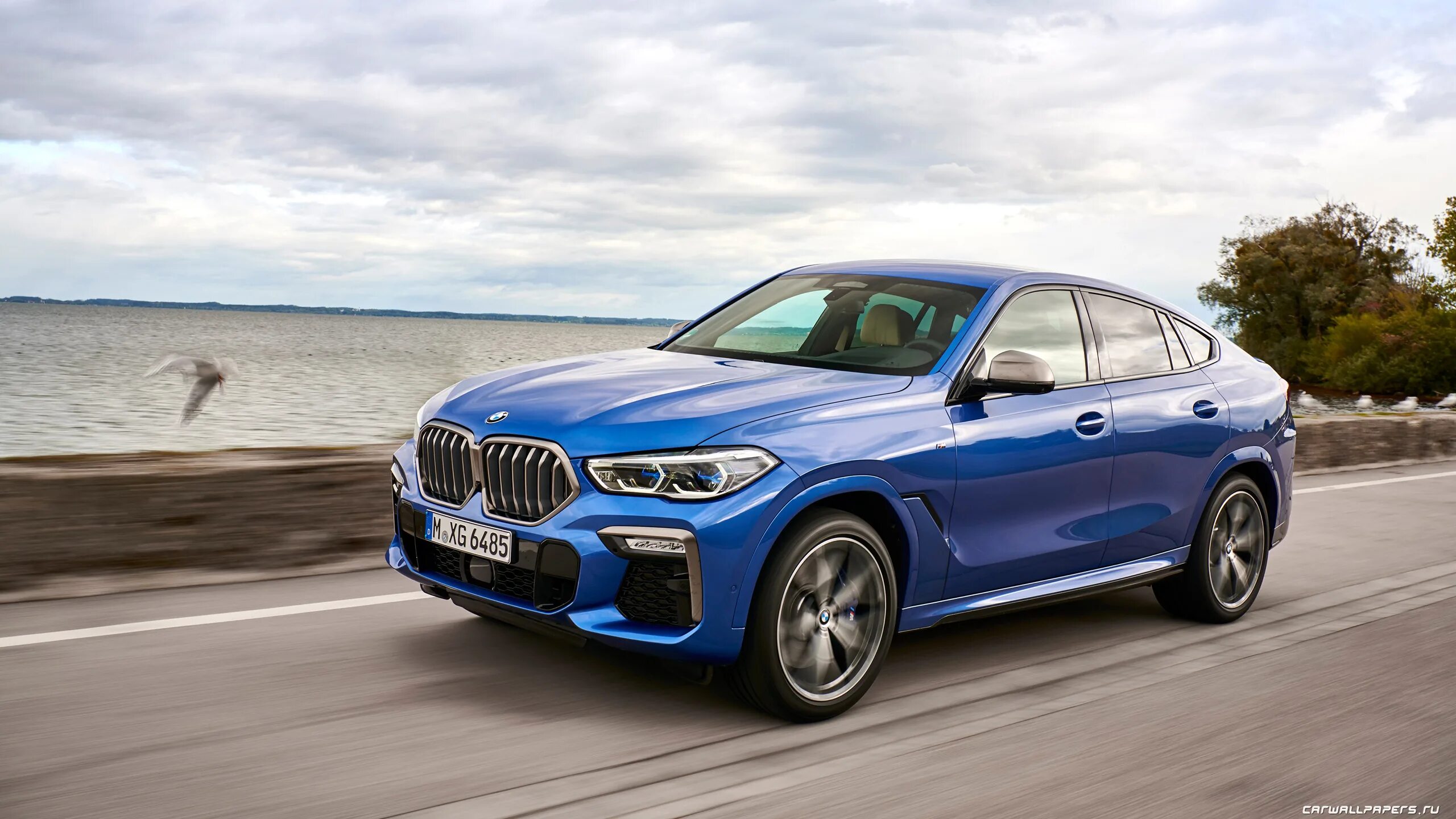 X6 2019. BMW x6 m50i. BMW x6 50i. БМВ х6 2019. X6 m50i 2020.