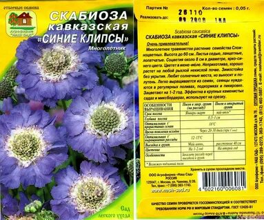 Скабиоза семена