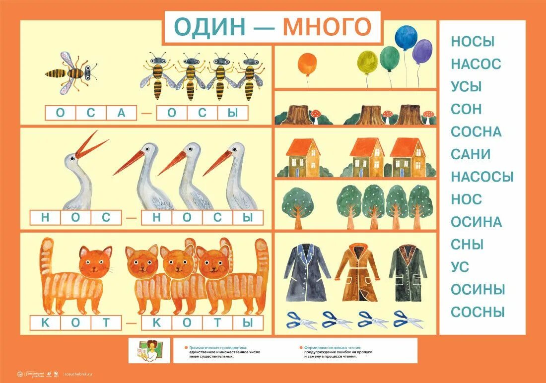 Карточки единственное и множественное число