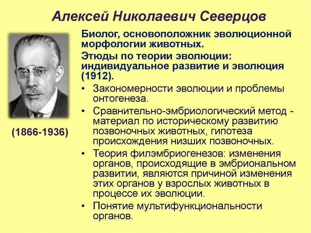 Северцов вклад в биологию. Северцов вклад в биологию