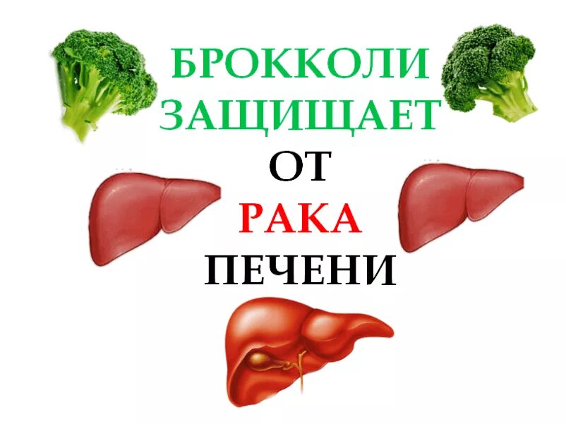 Печень польза и вред для здоровья. Продукты полезные для печени. Продуктыполезныед япечени. Полезных продуктов для восстановления печени. Продукты полезные для печени восстановление.