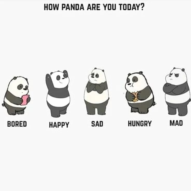 It is a panda. It is a panda