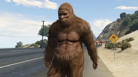 Freetp org bigfoot