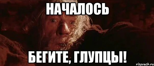 Глупцам нет покоя хонкай