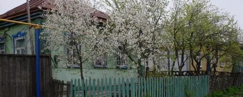 Погода прилепы красногвардейского