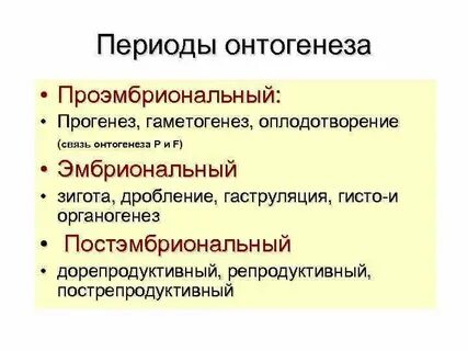 Закономерности постэмбрионального периода онтогенеза человека