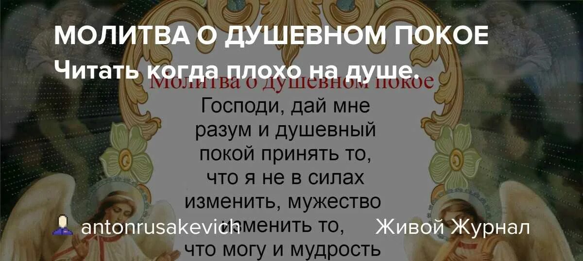 Молю давай давай давай