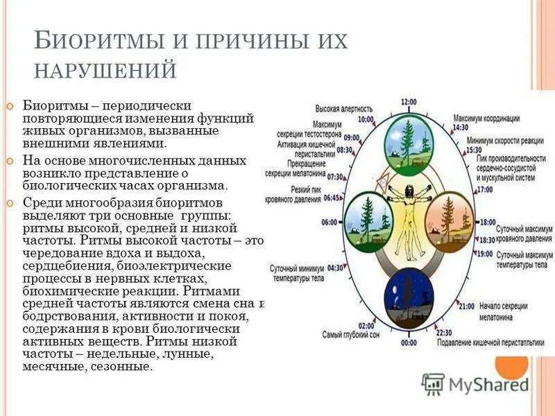 Биологические часы человека циркадные ритмы. Причины нарушающие биоритмы. Нарушение биологических ритмов. Суточные биологические ритмы. Биологические ритмы тема