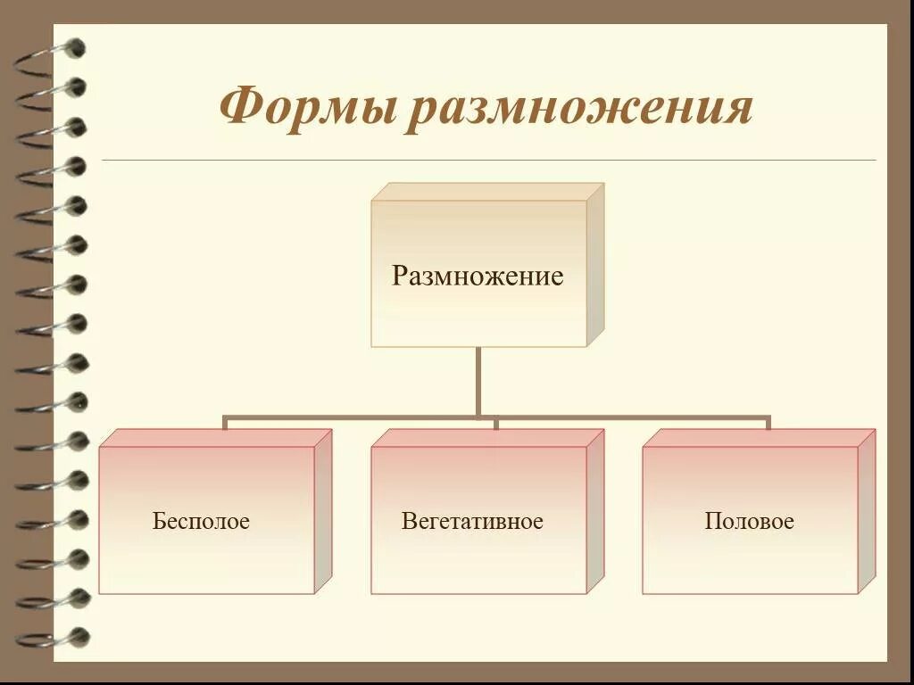 Урок размножение 9 класс