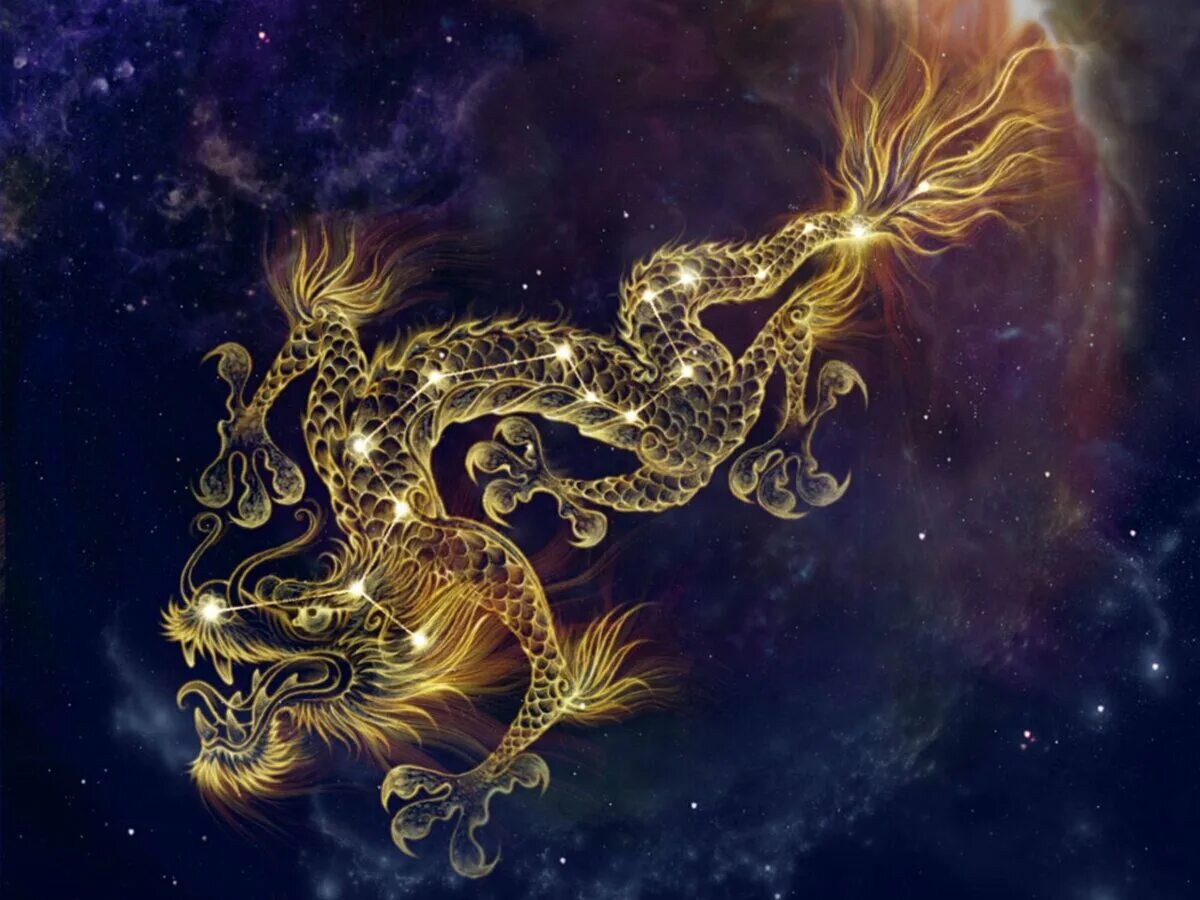 Гороскоп козерога змеи. Золотой дракон. Золотистый дракон. Китайский дракон. Дракон знак зодиака.