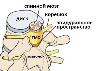 Что такое дуральный мешок шейного отдела позвоночника. Деформация переднего дурального мешка. Дуральный мешок анатомия. Передний листок дурального мешка. Стеноз позвоночного канала поясничного отдела мрт.