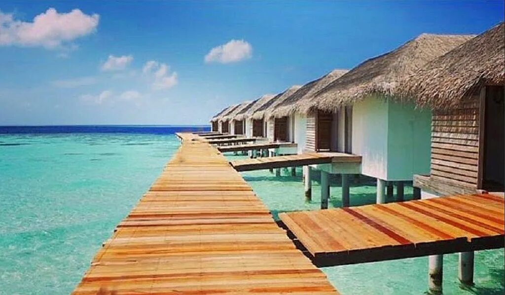 Coco palm bodu hithi 5*. Атолла южный мале (каафу). Cocogiri island resort maldives 4. Dhigufaru island resort 4*+ (баа атолл). Кокогири остров мальдивы.