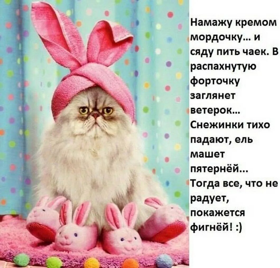 Сели пили