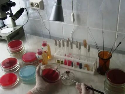 Бактериологическое исследование муки