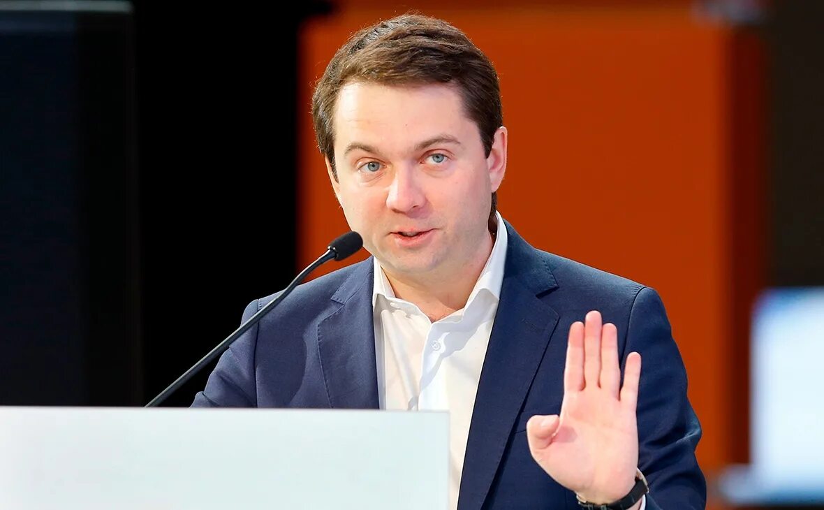 Чибис в мурманске. Чибис в мурманске