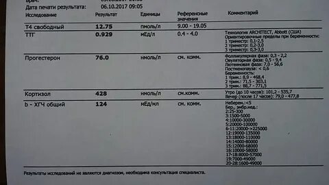 Хгч не удваивается но растет