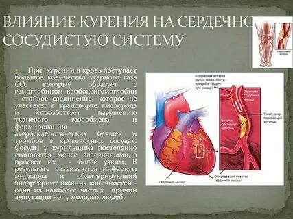 Влияние курения табака на организм
