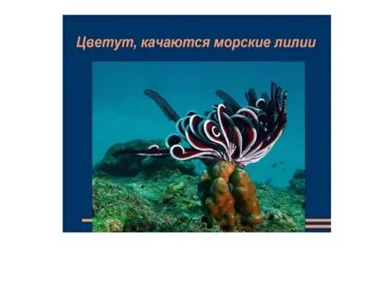 Случай с евсейкой горький презентация 3 класс