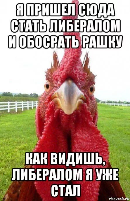 Как стать либералом