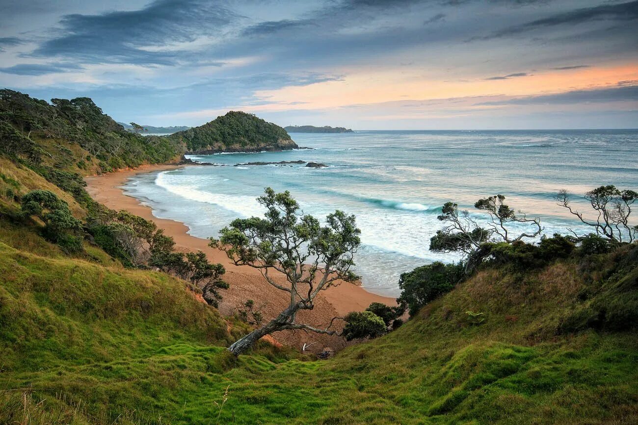 Coast country. Новая Зеландия берег. Нортленд. Береговая линия новой Зеландии. Новая Зеландия пляжи.