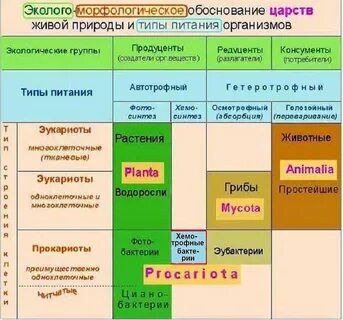 Характеристика царств 5 класс