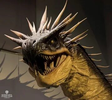 Dragon harry potter