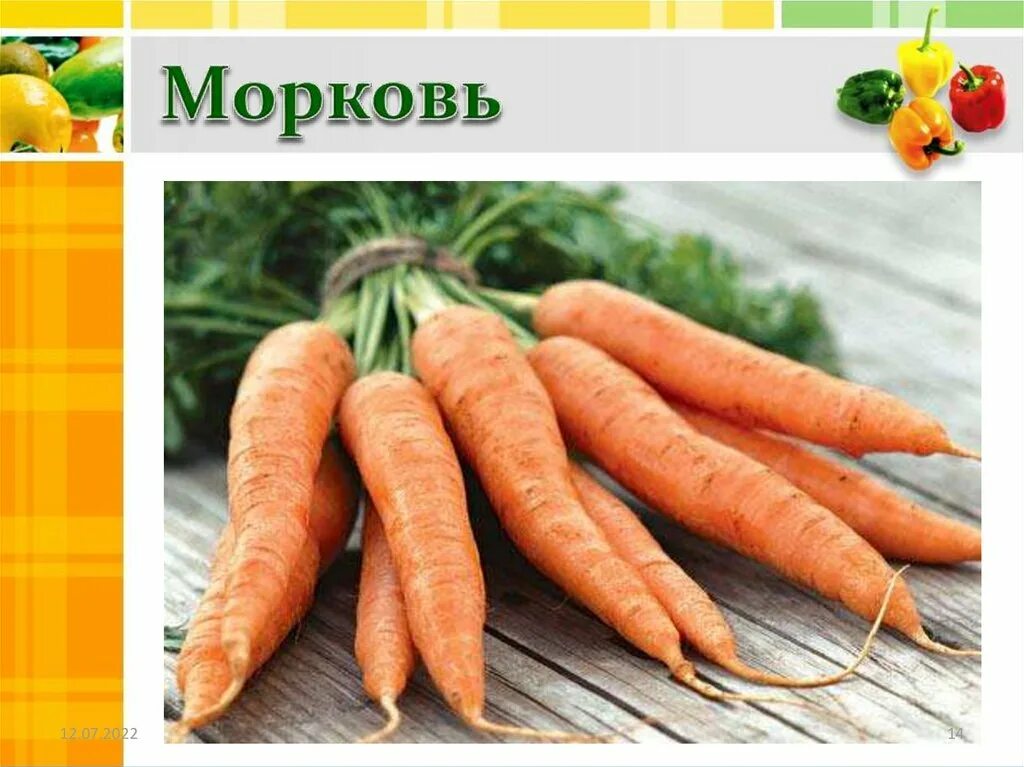 Морковная тема на огороде. Шоу морковь. Таблички для огорода морковь. 13 Морковок. Морковь букв звуков