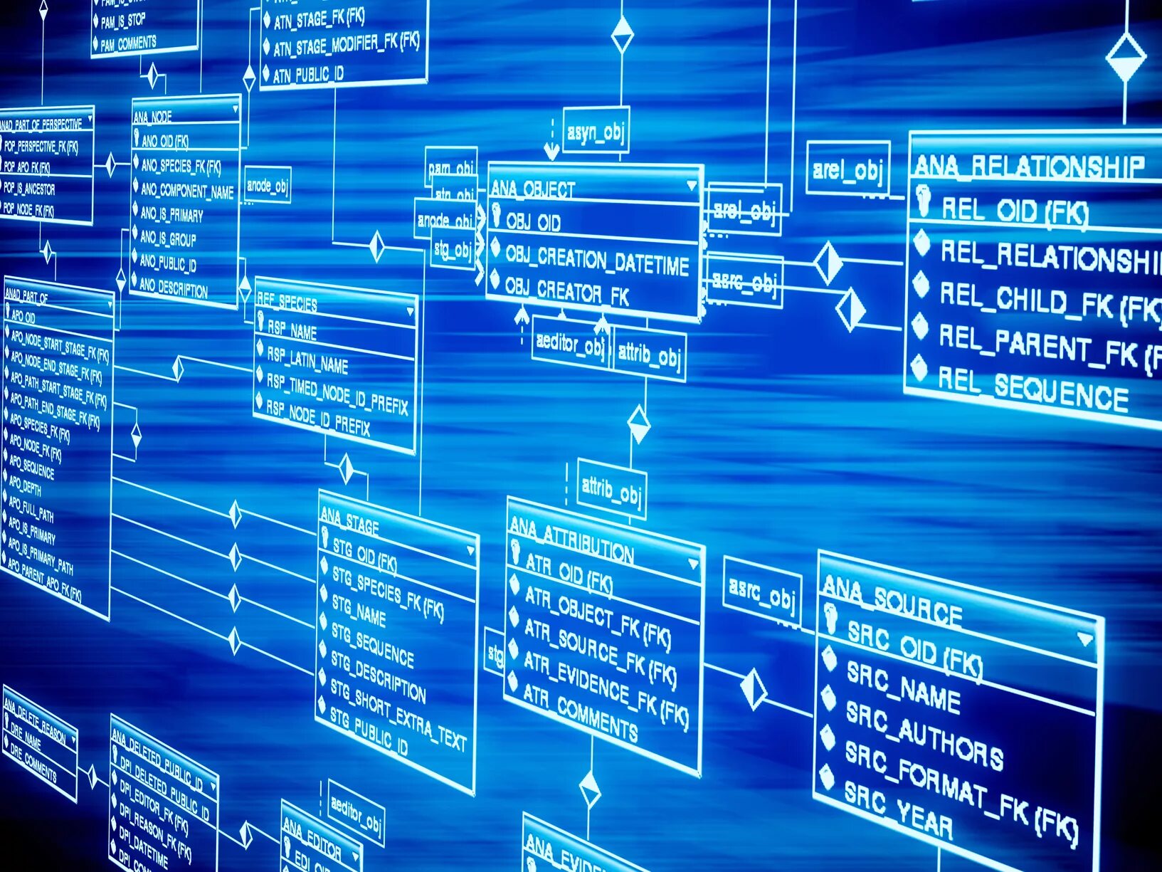 Database 11.0