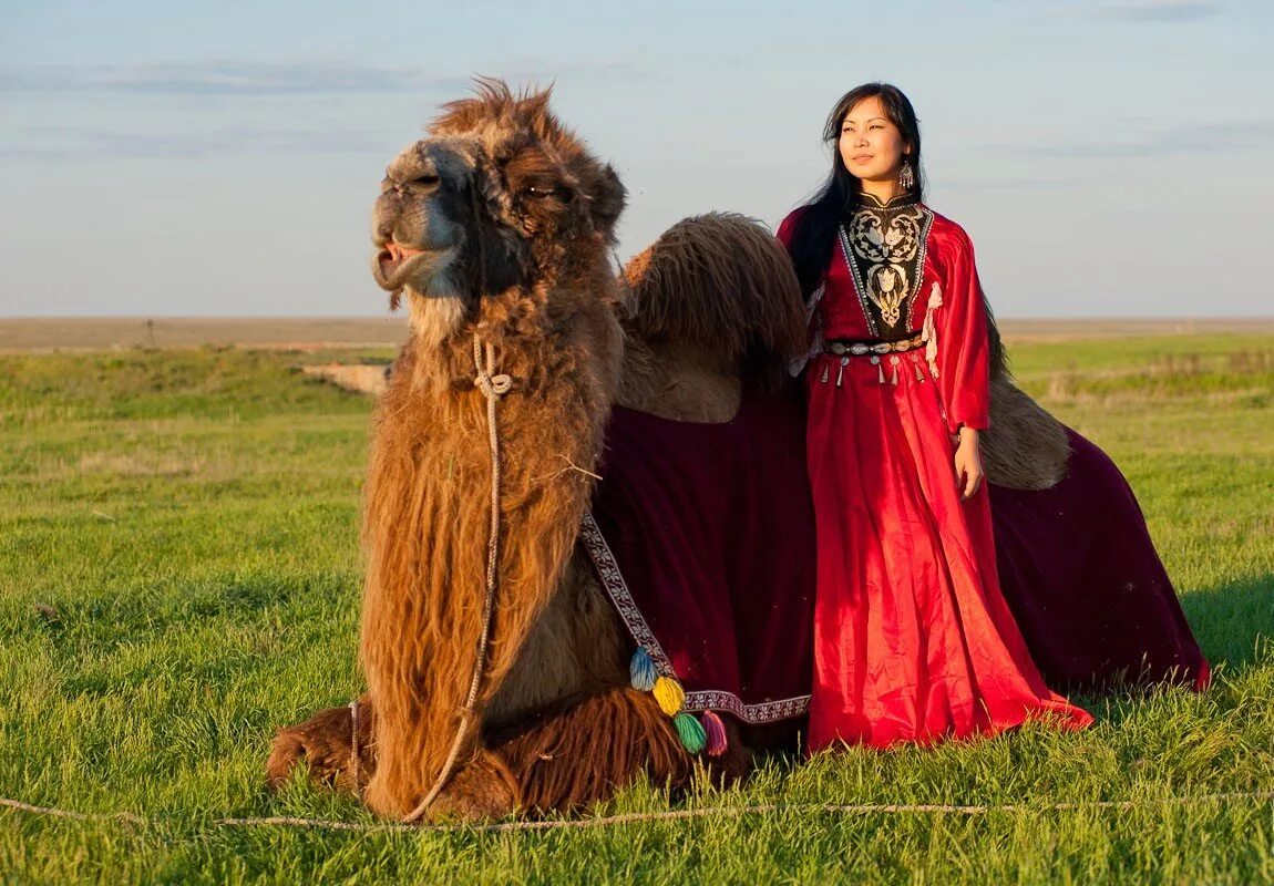 Калмыцкий национальный костюм. Монгольский традиционный. Территория монголии. Калмыкии монголии. Калмыки ойраты.