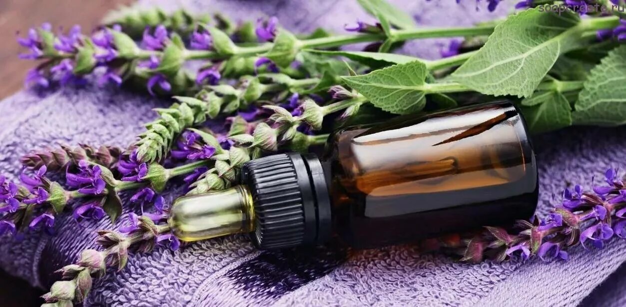 Сильнейшие эфирные масла. DOTERRA Лаванда. Иланг-иланг DOTERRA. Масло лаванды. Эфирное масло лаванды.