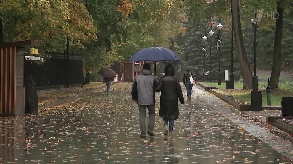 Дождь холодно. Долго еще будут дожди. Дождливая москва. Ливень в минске. Долго еще будут дожди.