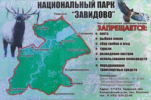 Животные шаховская