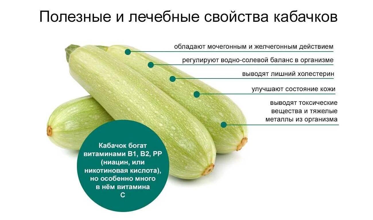 Почему хочется огурца. Кабачки. Чем полезен кабачок. Кабачок полезные вещества. Полезные свойства кабачка.