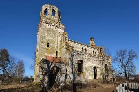 Старая русса дубовицы