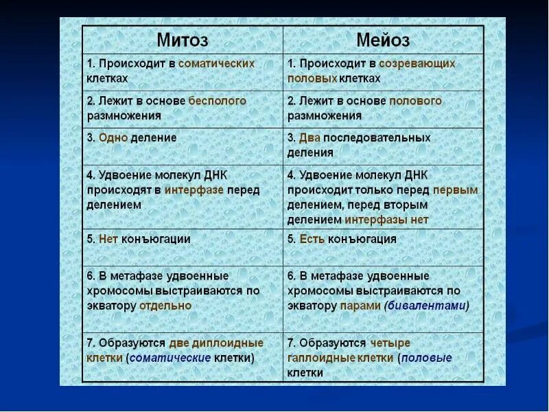 Мейоз основа размножения. Фазы митоза краткая характеристика процессов. Мейоз основа размножения. Мейоз митоз оплодотворение. Схема мейоза первое деление и второе деление.