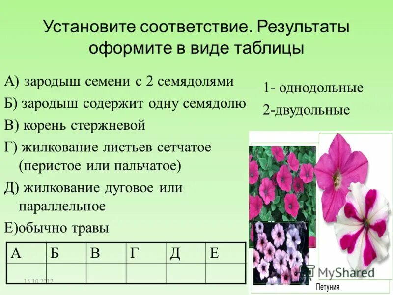 Семя содержит одну или две семядоли покрытосеменные