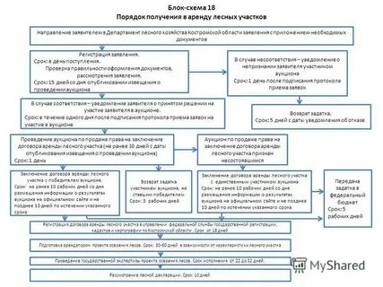 Предоставление лесного участка в собственность