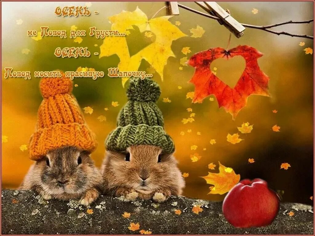 Тёплая осень. Теплой счастливой осени. Красивые осенние открытки. Доброе утро осень. Самой теплой осени.