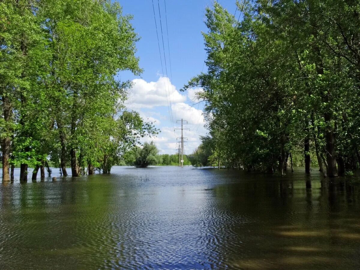 Наводнение весной. Наводнения в россии. Заливаемая в половодье. Половодье весной. Половодье во владимирской области.