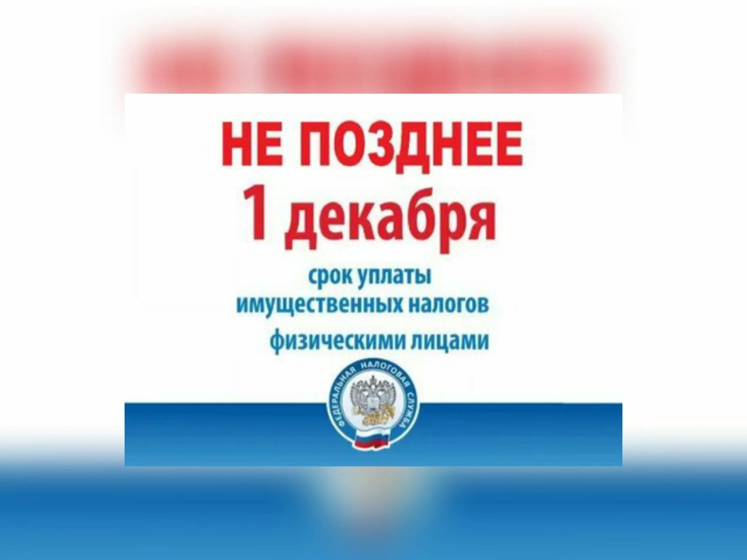 Не позднее 31 декабря. Оплата налогов. Оплатить налоги. 1 Декабря налоги. Плати налоги.